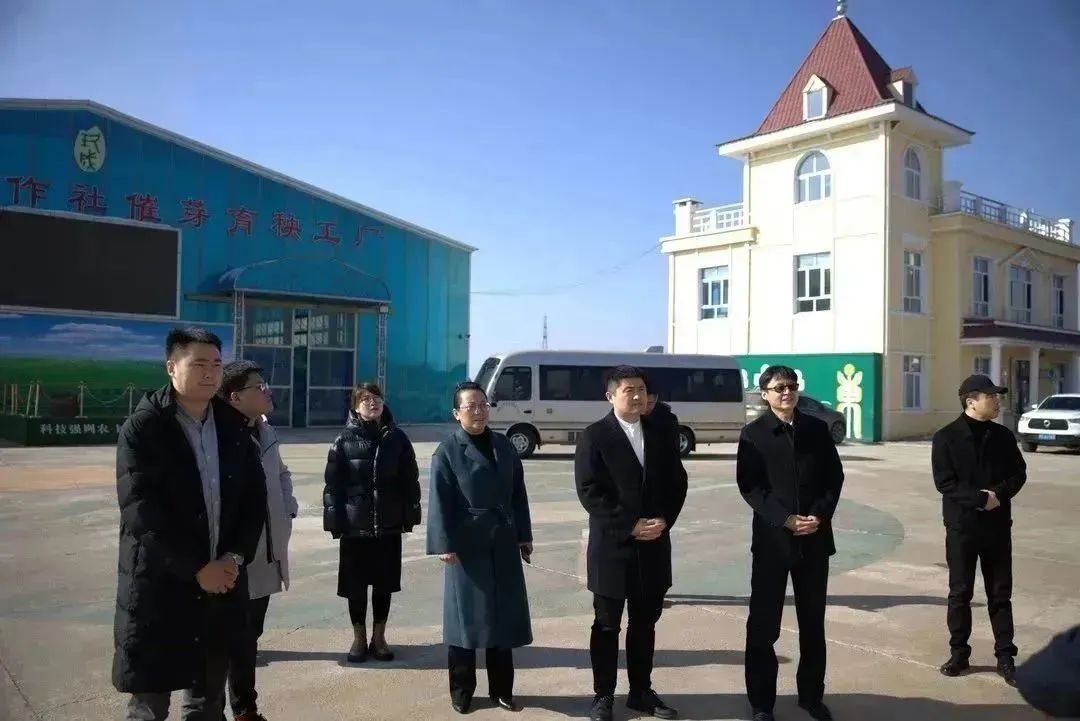 图片32.jpg